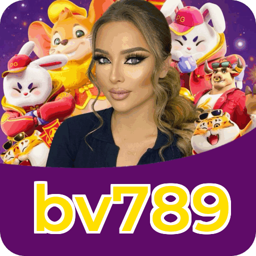 Métodos de pagamento aceitos na bv789